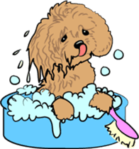Bonjour, Poodles! sticker #3141185