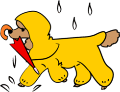 Bonjour, Poodles! sticker #3141187