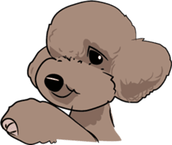 Bonjour, Poodles! sticker #3141189
