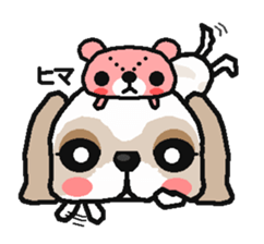 Every day of a shih tsu   The 2nd sticker #3141243