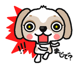 Every day of a shih tsu   The 2nd sticker #3141244