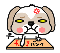 Every day of a shih tsu   The 2nd sticker #3141264