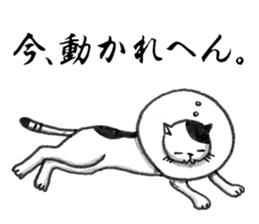Days of Kansai cats Vol.2 sticker #3142050