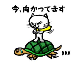 white cool  cat sticker #3142208