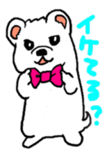 white dog [shiro] 2 sticker #3143857