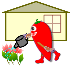 Holiday of "to garashi"