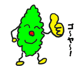 Bittergourd bitter gourd born in Okinawa sticker #3144939