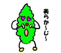 Bittergourd bitter gourd born in Okinawa sticker #3144940