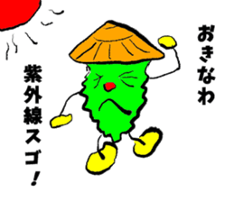 Bittergourd bitter gourd born in Okinawa sticker #3144970