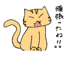 faintly cats sticker #3145412