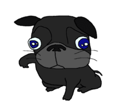 I am Pug sticker #3148906