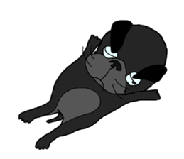 I am Pug sticker #3148912