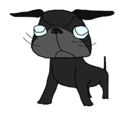 I am Pug sticker #3148914