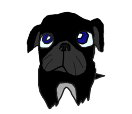 I am Pug sticker #3148915