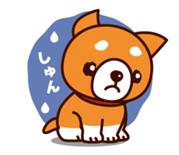 Shiba-chan of Japanese Shiba inu sticker #3152158