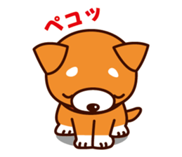 Shiba-chan of Japanese Shiba inu sticker #3152161