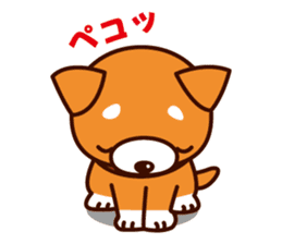 Shiba-chan of Japanese Shiba inu sticker #3152161
