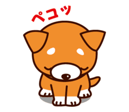 Shiba-chan of Japanese Shiba inu sticker #3152161