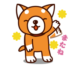 Shiba-chan of Japanese Shiba inu sticker #3152162