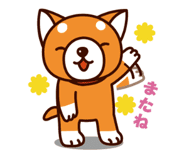 Shiba-chan of Japanese Shiba inu sticker #3152162