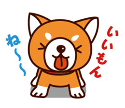 Shiba-chan of Japanese Shiba inu sticker #3152164