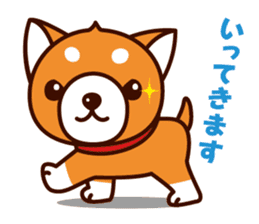 Shiba-chan of Japanese Shiba inu sticker #3152165