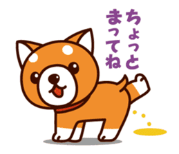 Shiba-chan of Japanese Shiba inu sticker #3152168