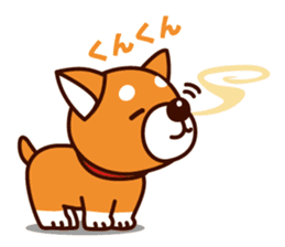 Shiba-chan of Japanese Shiba inu sticker #3152169