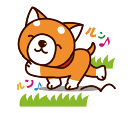Shiba-chan of Japanese Shiba inu sticker #3152171