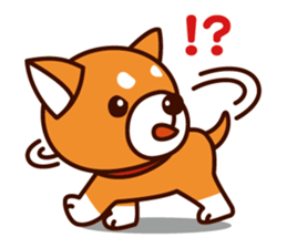 Shiba-chan of Japanese Shiba inu sticker #3152172