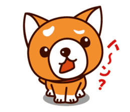 Shiba-chan of Japanese Shiba inu sticker #3152173