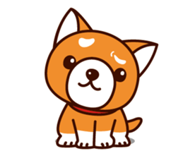 Shiba-chan of Japanese Shiba inu sticker #3152174