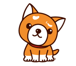 Shiba-chan of Japanese Shiba inu sticker #3152174