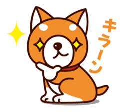 Shiba-chan of Japanese Shiba inu sticker #3152175
