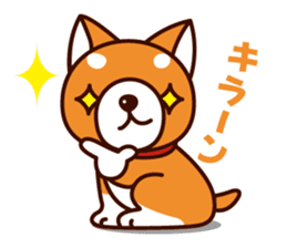 Shiba-chan of Japanese Shiba inu sticker #3152175