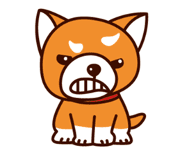 Shiba-chan of Japanese Shiba inu sticker #3152176