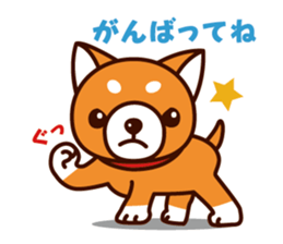 Shiba-chan of Japanese Shiba inu sticker #3152177