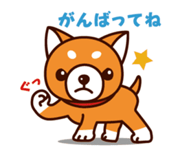 Shiba-chan of Japanese Shiba inu sticker #3152177