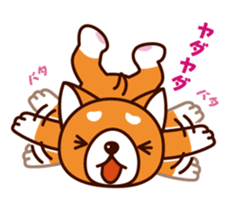 Shiba-chan of Japanese Shiba inu sticker #3152179