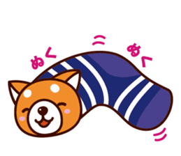 Shiba-chan of Japanese Shiba inu sticker #3152180