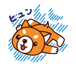 Shiba-chan of Japanese Shiba inu sticker #3152182