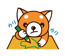 Shiba-chan of Japanese Shiba inu sticker #3152183