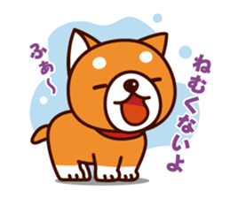 Shiba-chan of Japanese Shiba inu sticker #3152184