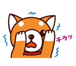 Shiba-chan of Japanese Shiba inu sticker #3152188