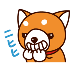 Shiba-chan of Japanese Shiba inu sticker #3152192