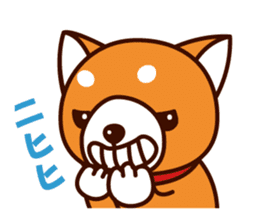 Shiba-chan of Japanese Shiba inu sticker #3152192