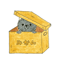 Blak Pomeranian Kokkun sticker #3157047