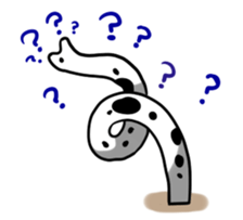 Heteroconger hassi & Muraenidae sticker #3158368