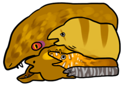 Heteroconger hassi & Muraenidae sticker #3158398