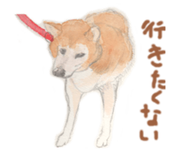 dog! sticker #3159173